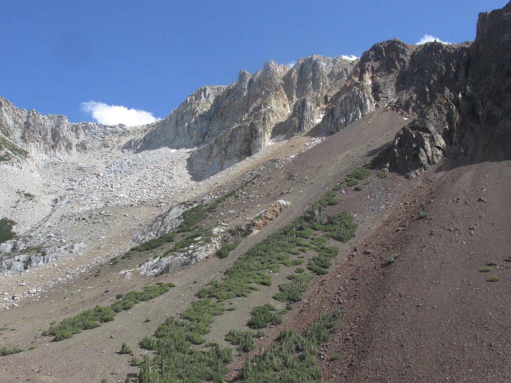 Steep Scree Slopes Under Clear Blue Mountain Skies In Yosemite National Park, California Jul '15 by David Cure-Hryciuk