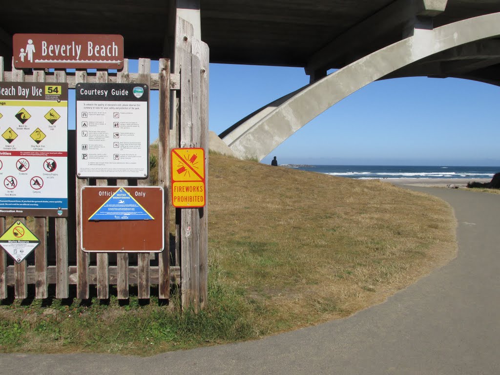 The Path To The Ocean In Beverly Beach State Park, Oregon Jul '15 by David Cure-Hryciuk