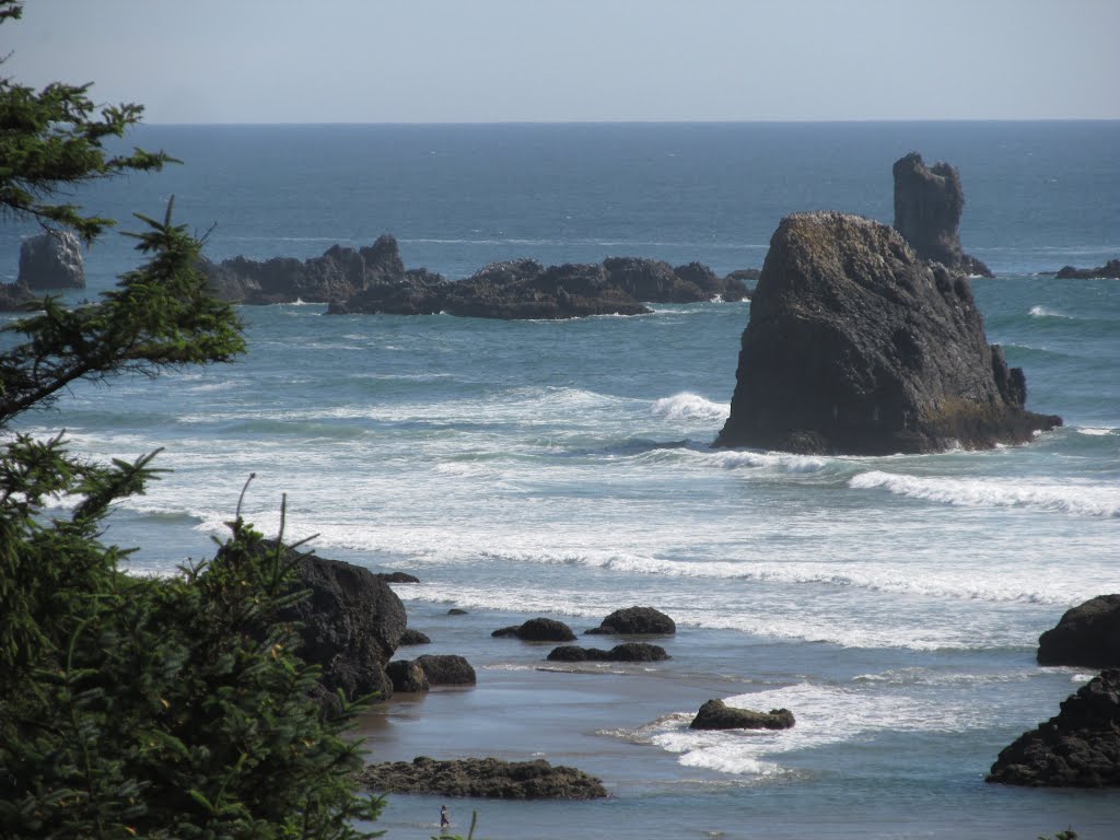 Whitewater Surf And Rocks In Ecola Bay State Park, Oregon Jul '15 by David Cure-Hryciuk