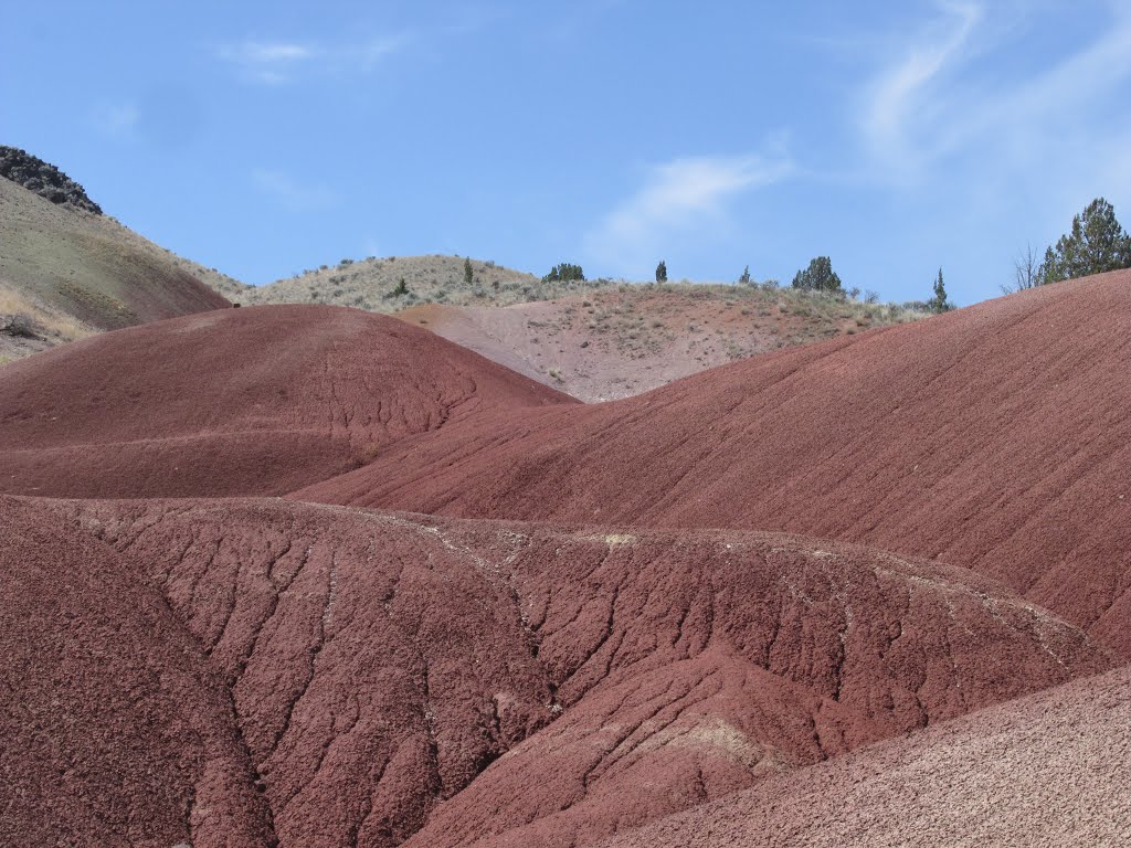 Textured, Bright Red Painted Hills In John Day Fossil Beds National Monument, Oregon Jul '15 by David Cure-Hryciuk