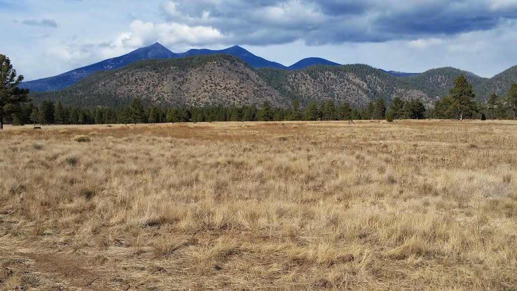 San Francisco Peaks by Nicholas Notestine