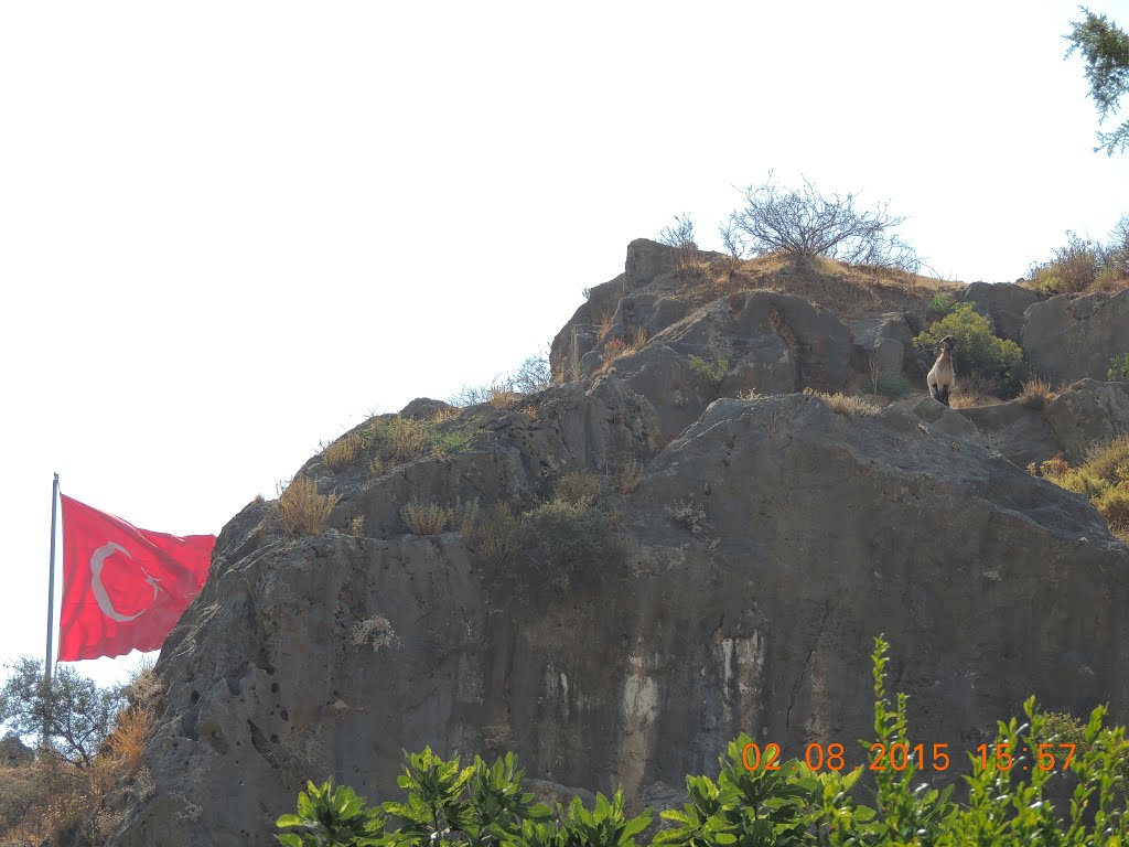 A goat and a flag (ruins) by angelius1979