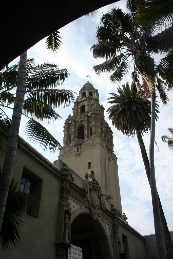 Tower Of Museum of Man by Scott Hanko