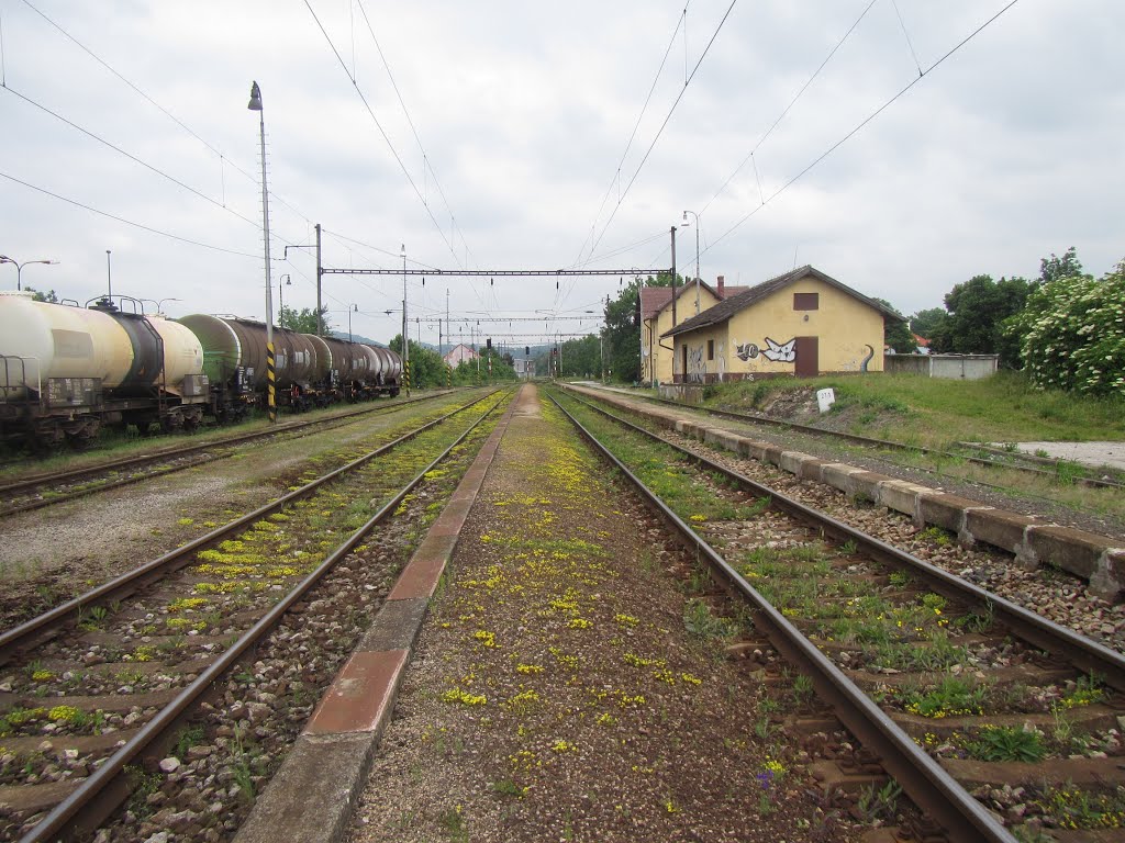 Smolenice Station by Laplas Ilya