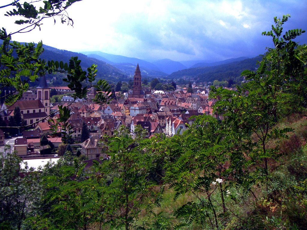 Blick auf Munster by Thomas Laur