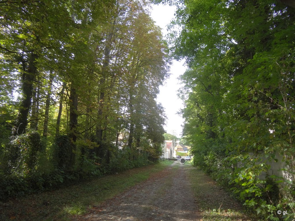 En vue de Evry-Grégy sur Yerres by Gérard Laurent (Road…