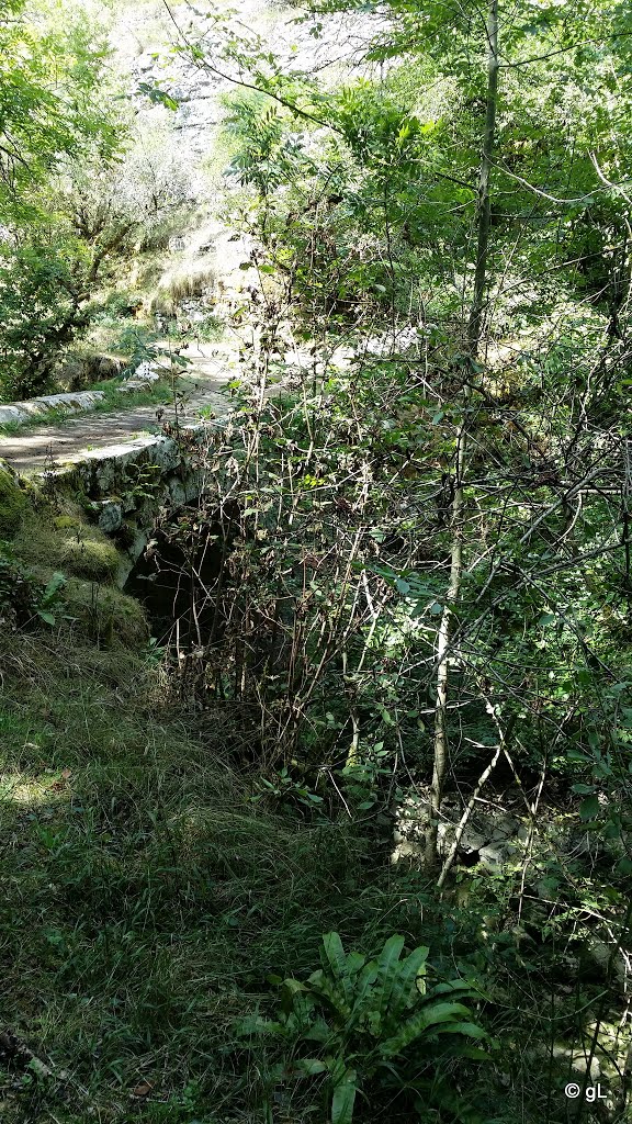 Gorges de l'Alzou - Moulin du Saut by Gérard Laurent (Road…