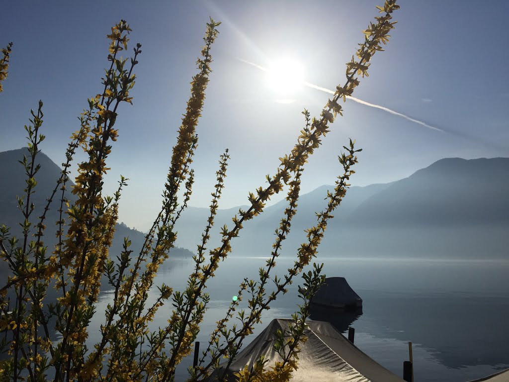 Lugano, Switzerland by Butrajack