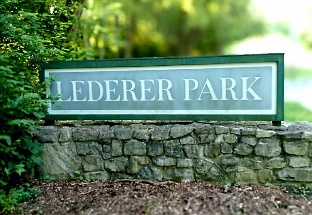 Lederer Park by Sam Seidel