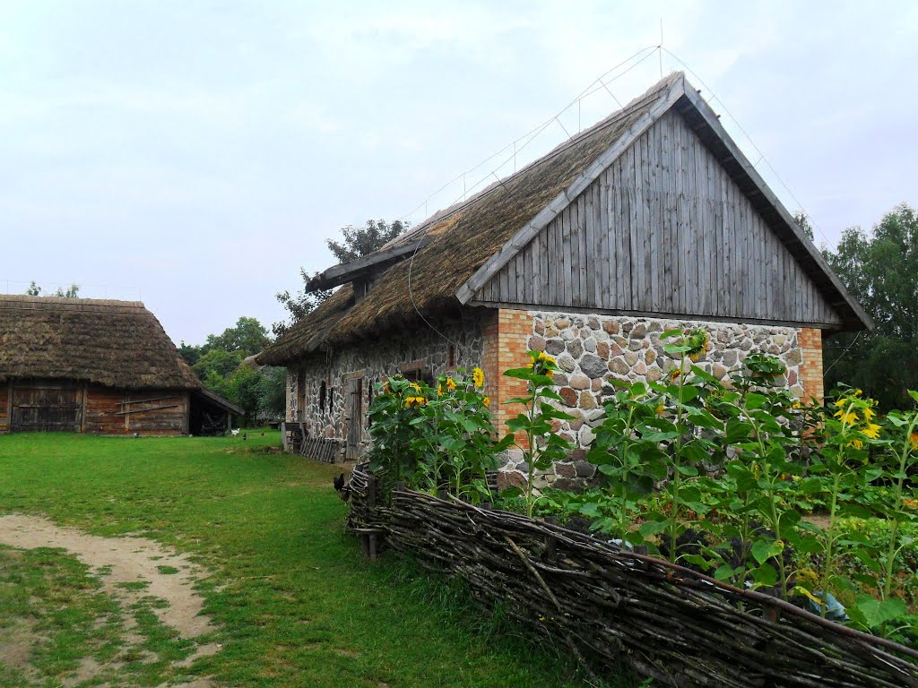 Budynki gospodarcze z Czermna | Sierpc, Skansen - sierpień 2015 by Selna