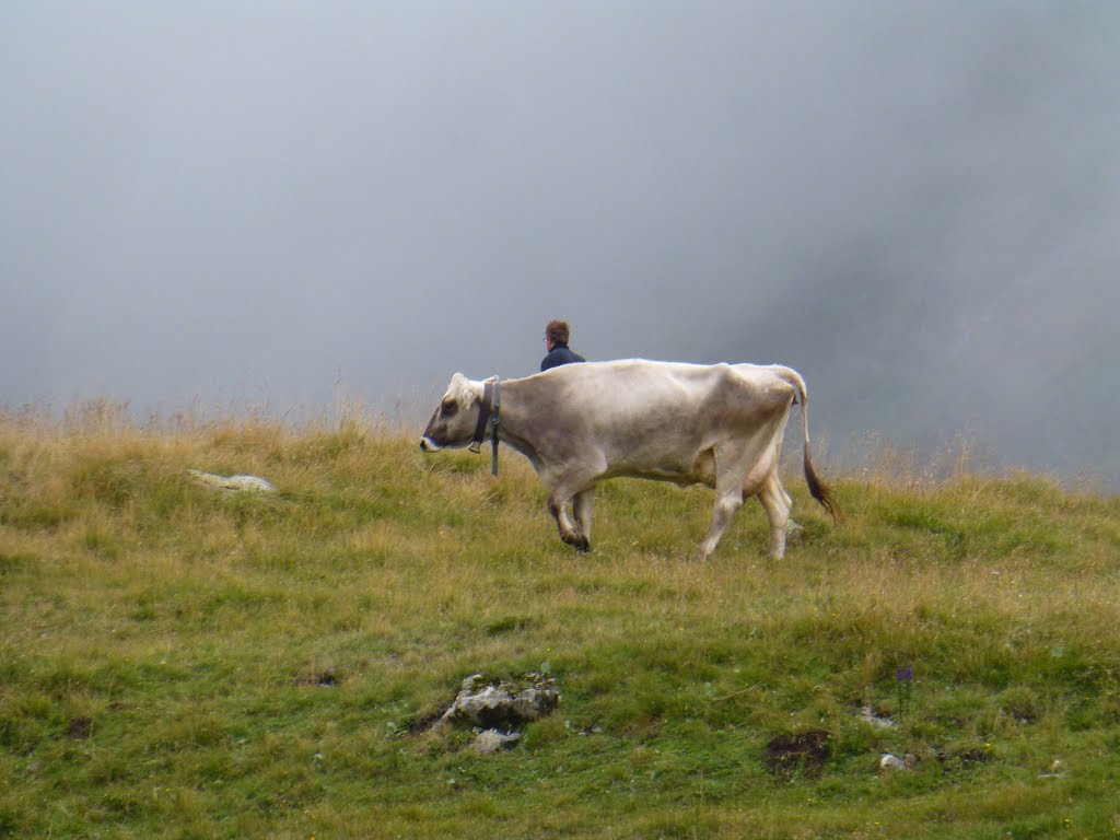 Silvretta Hochalpenstrasse by Paweł K