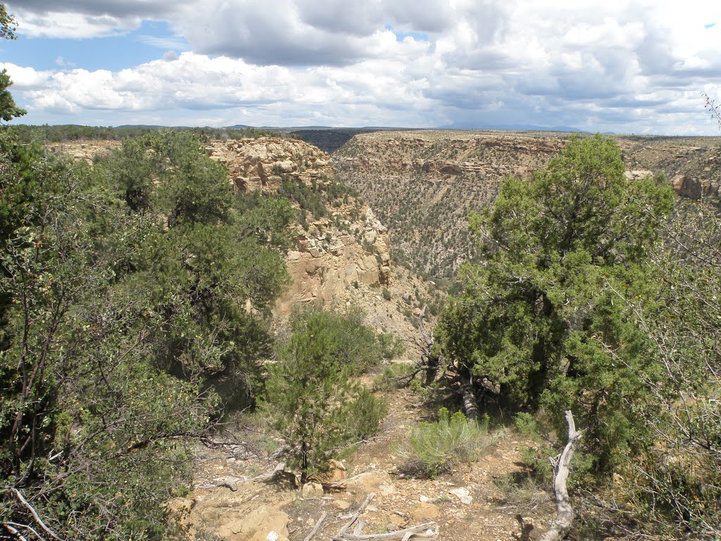 A view from above the Balcony House, Mesa Verde National Park, CO, United States by MARELBU