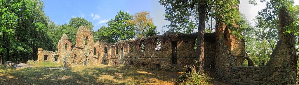 Ruins of Old Książ by sciezkawbok.wordpres…