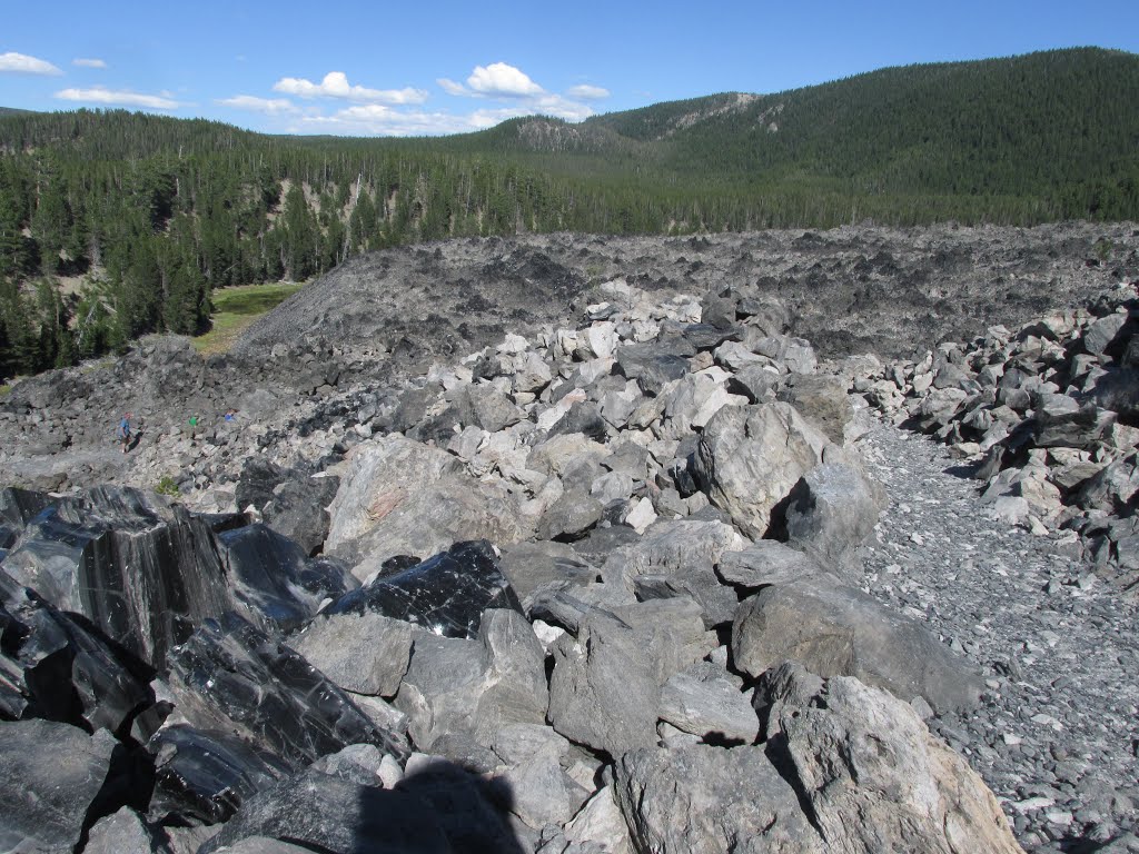 Contrasting Obsidian And Pumice In The Big Obsidian Flow, Newberry National Volcanic Monument, Oregon Jul '15 by David Cure-Hryciuk