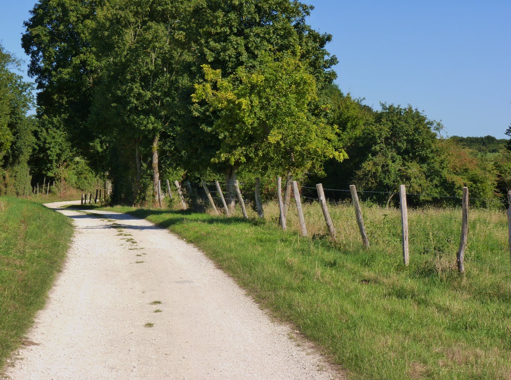 17810 Nieul-lès-Saintes, France by laurentSnogoogleview…