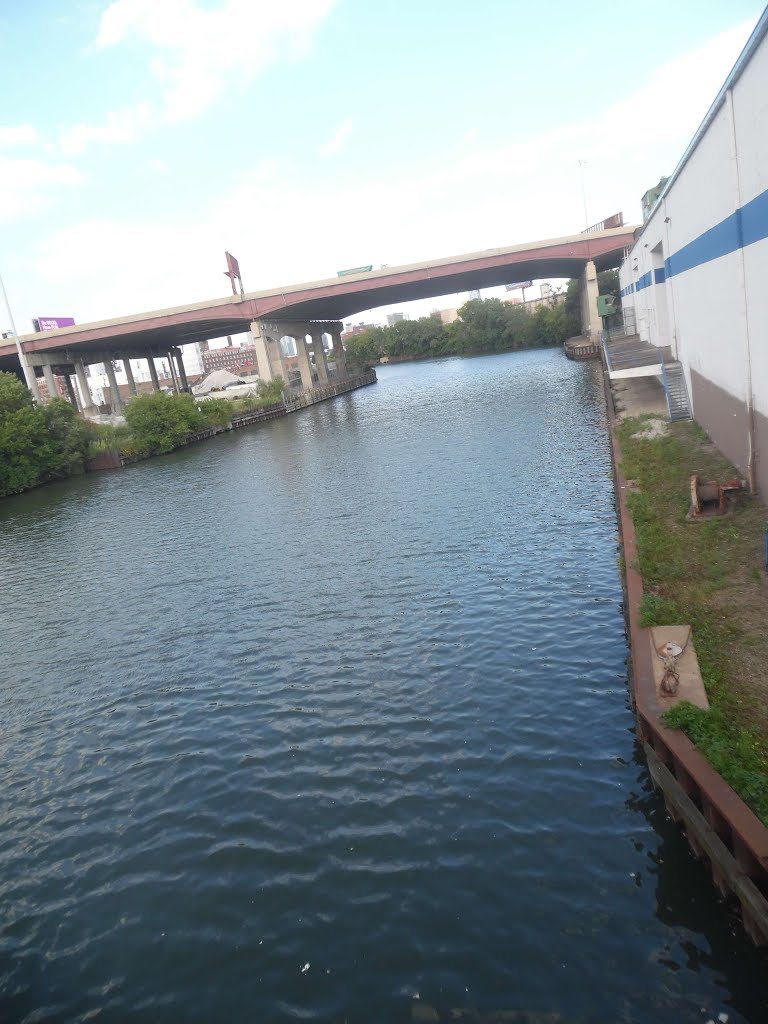 Dan Ryan Expressway & Chicago River by Wayne Allen Sallee