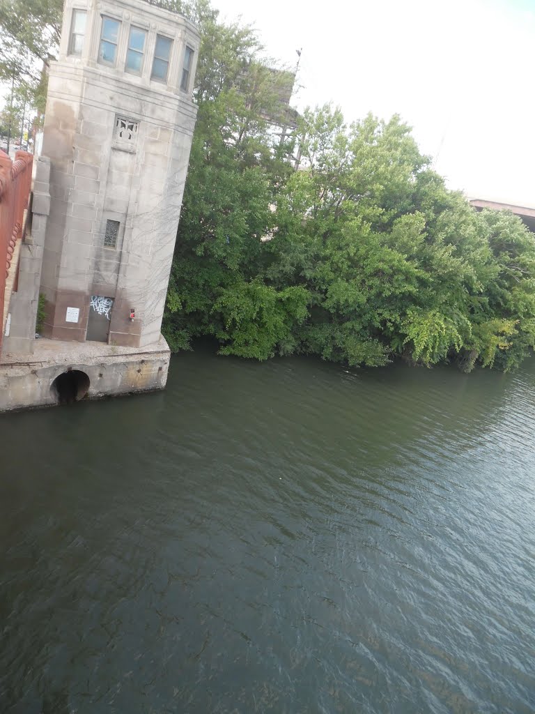 Chicago River at Halsted Street by Wayne Allen Sallee