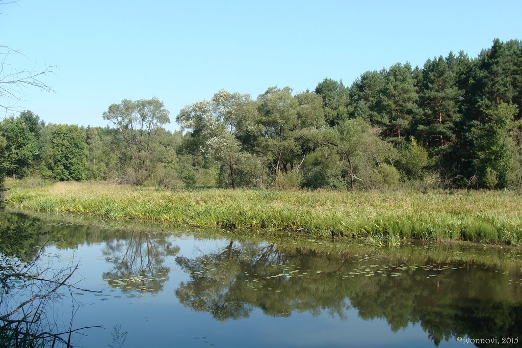 Crow Water Oxbow Lake / Starorzecze (warcisko) Wronia Woda by Ivonna Nowicka