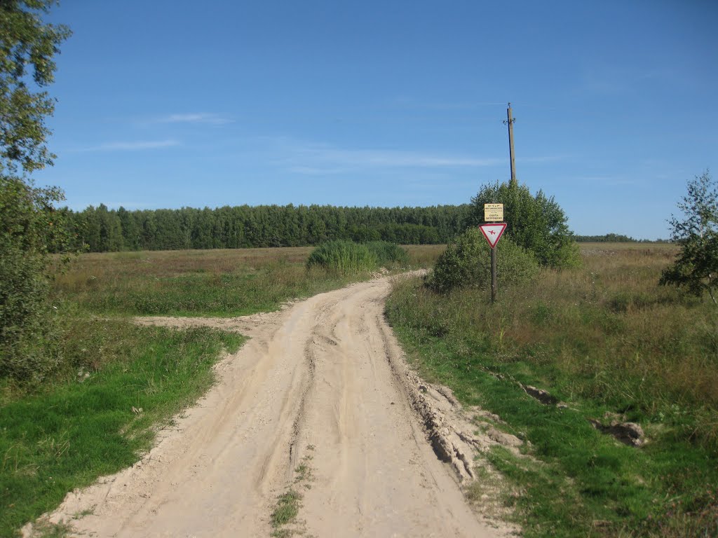 Ferzikovsky District, Kaluga Oblast, Russia by Tragisk