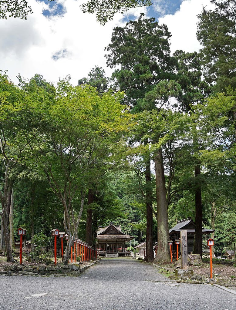 Hiyoshi Taisha shrine , 日吉大社 by z tanuki