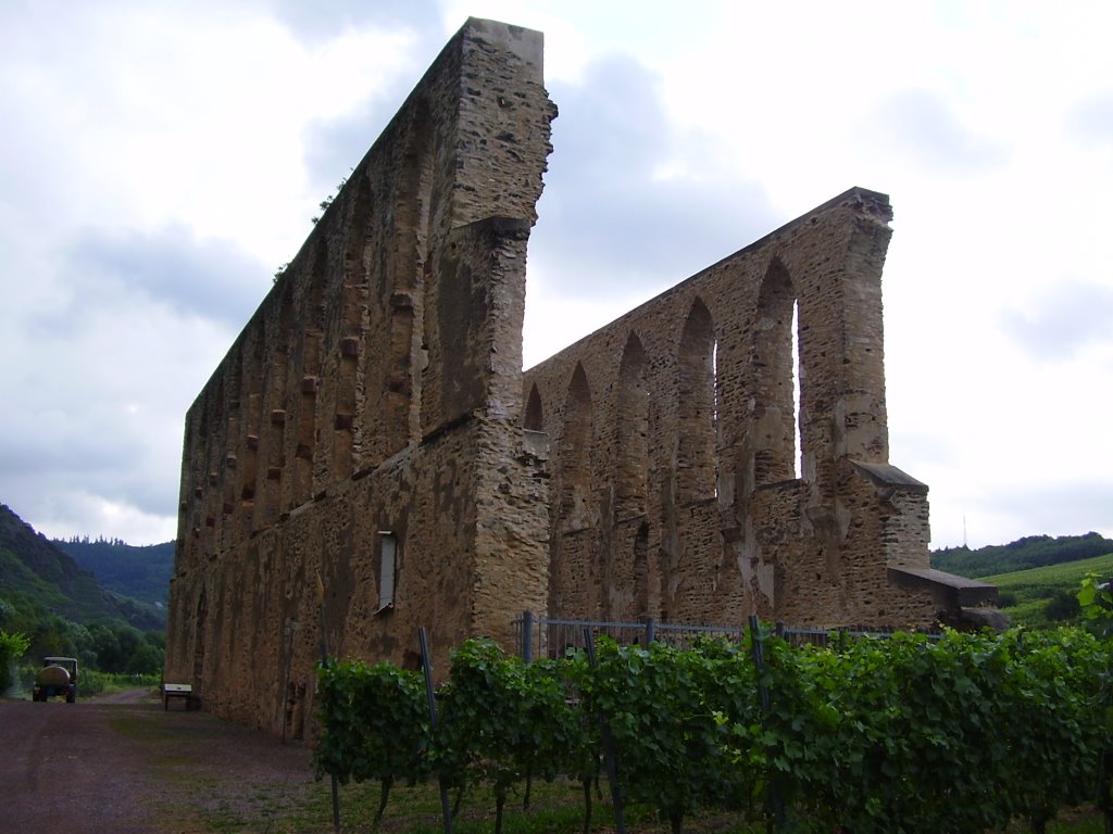 Kloster ruine Bremm by randenrade