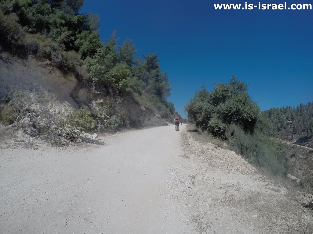 Harei Yehuda, Israel by Igor Skorubsky