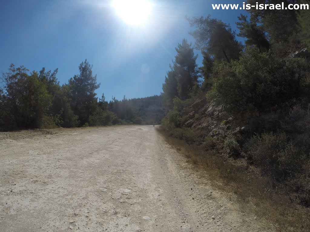 Harei Yehuda, Israel by Igor Skorubsky