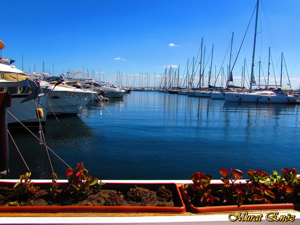 Alaçatı Muhallebicisi Pendik Marina by Murat Enoz