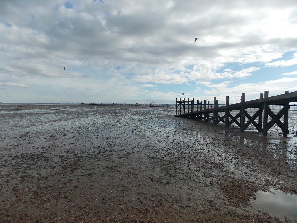 Southend's muddy beach by The Loyal Passenger