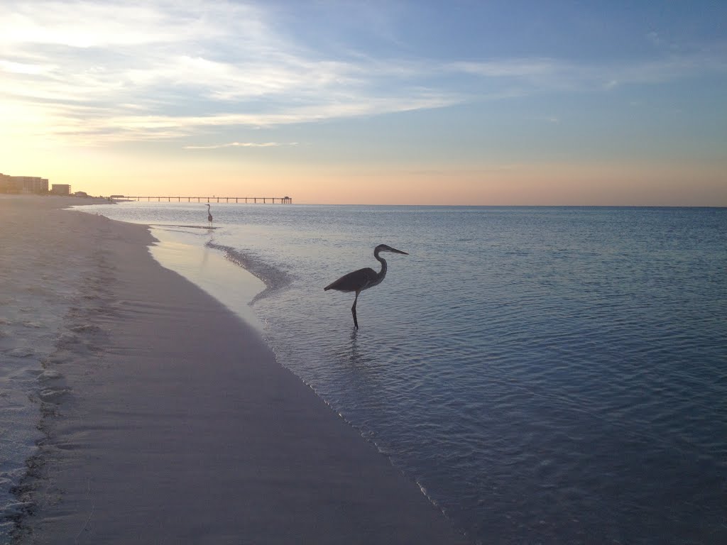 Okaloosa Island, FL, USA by b shade