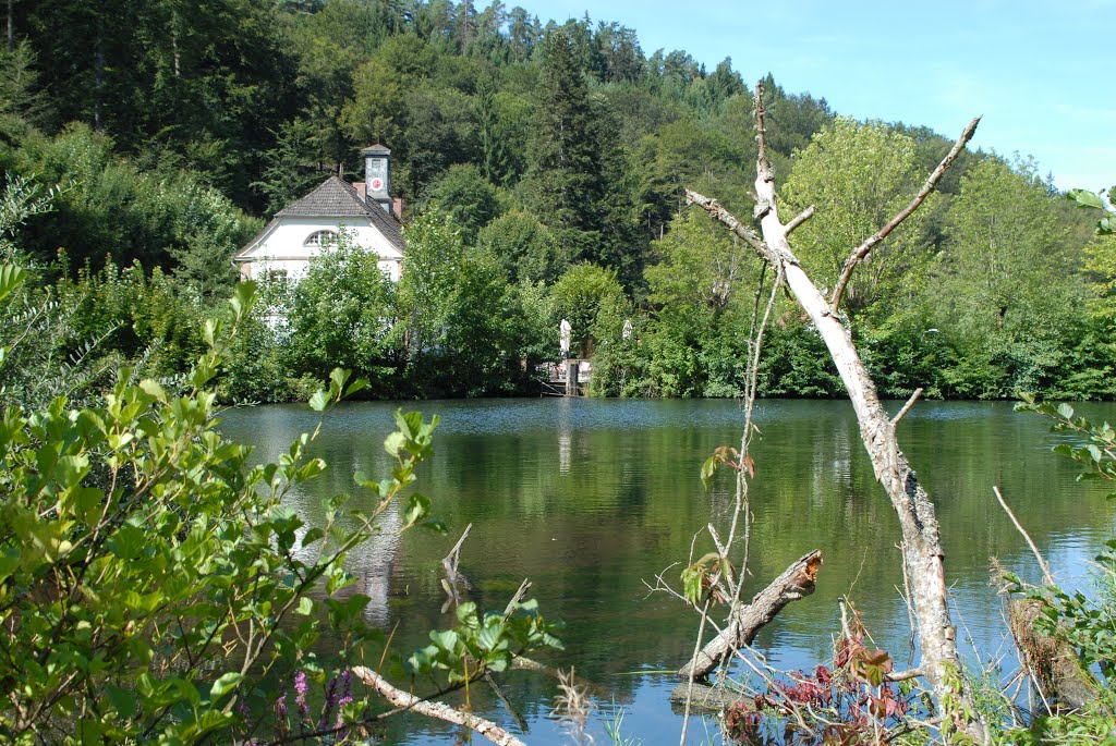 Karlstal - Weiher am Unterhammer by Andreas-Müller