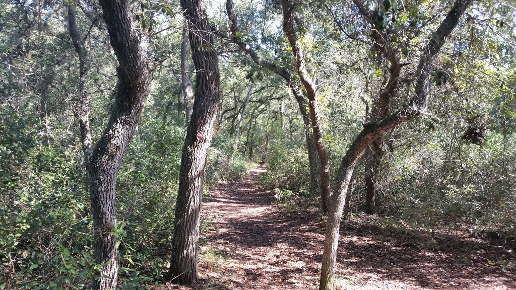 Beginning of trail by The Andy