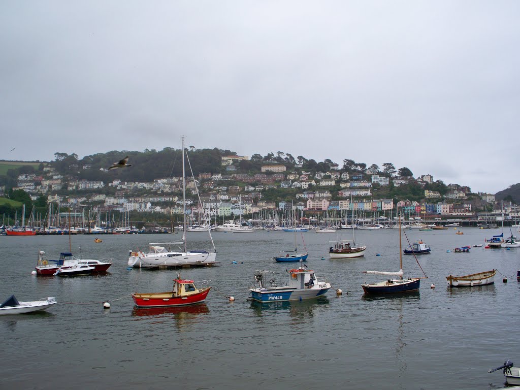 Dartmouth by Waldi Pol 54