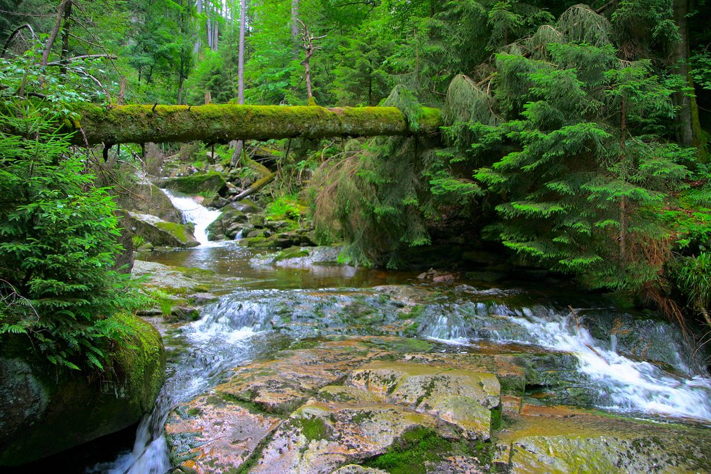 Natural bridge by Andreas B. Otte