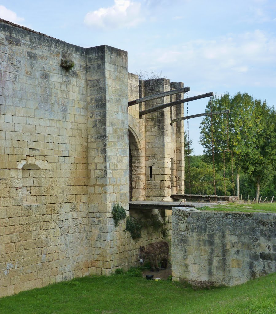 Le Chateau de Nieul-lès-Saintes ( XIV ème ). by laurentSnogoogleview…