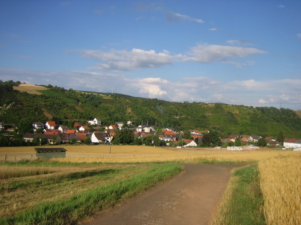 Weiler bei Monzingen by giggel