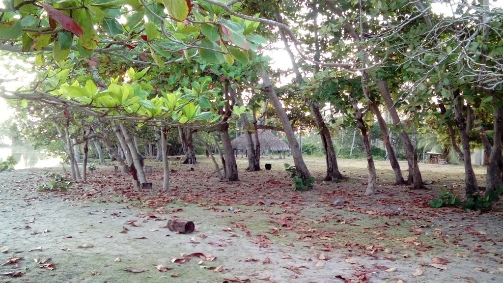 Unnamed Road, Dibulla, La Guajira, Colombia by Hernando Medina