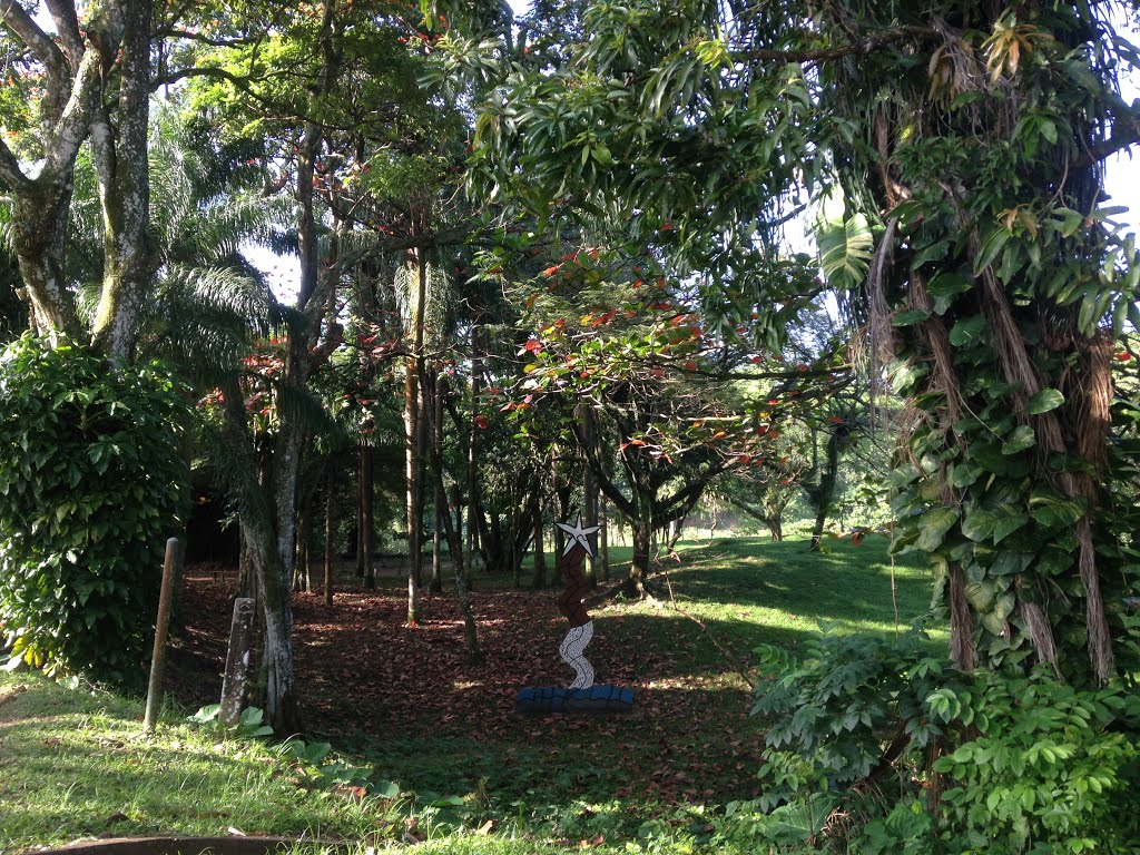 Horto na proximidade da Oficina Francisco Brennand, Várzea, Recife - PE, Brasil by Dedé de Zé Luca