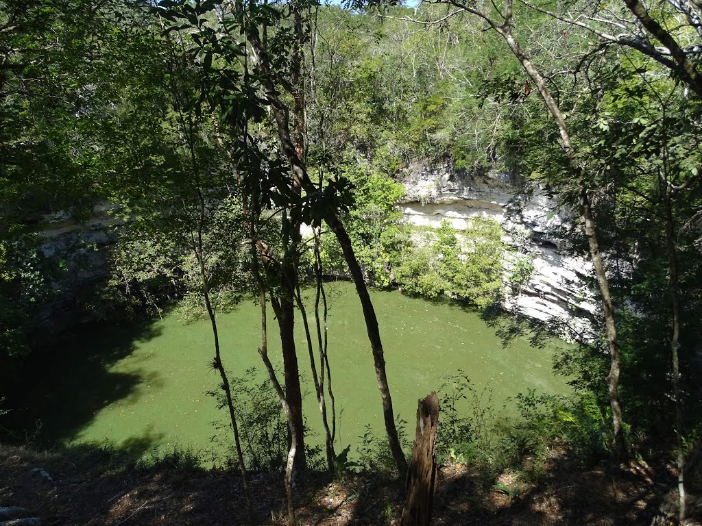 Ruinengelände: Heiliger Brunnen - Cenote Sagrado by Frank M. Niepelt