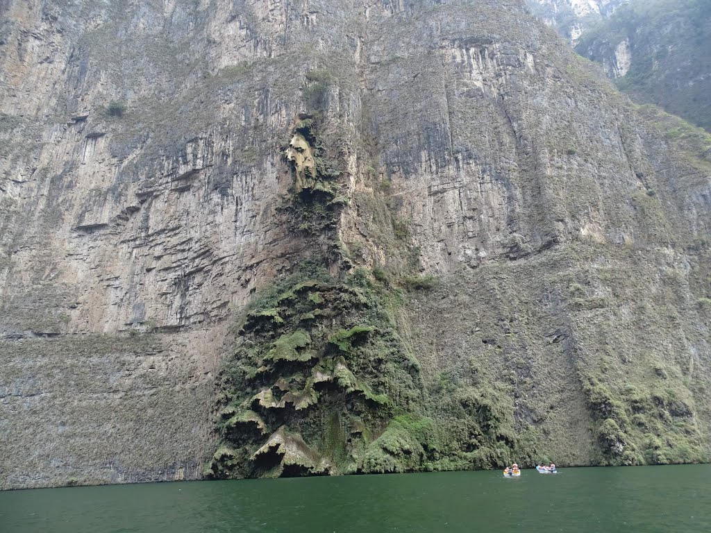 Cañón del Sumidero by Frank M. Niepelt