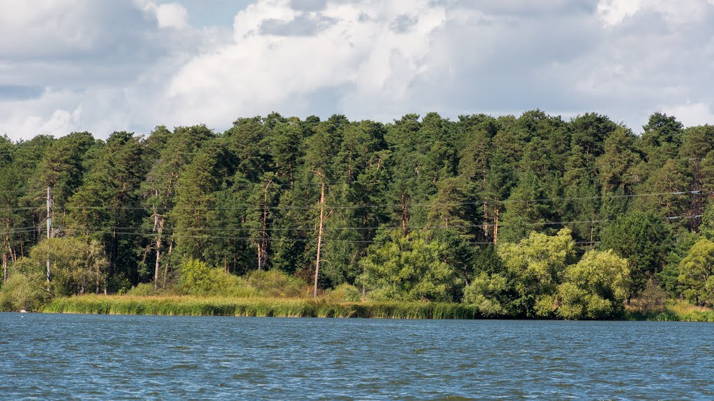 Kaluga, Kaluga Oblast, Russia by Sergei Kolesnikov