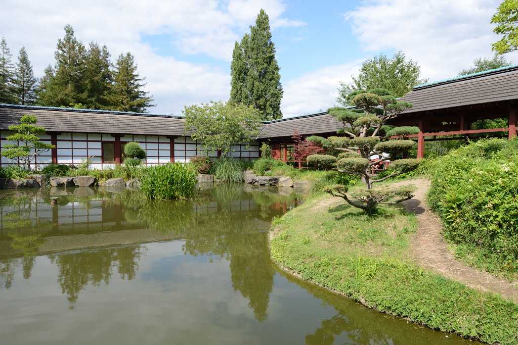 Le jardin japonais à Nantes by Bernard CANDILLON 