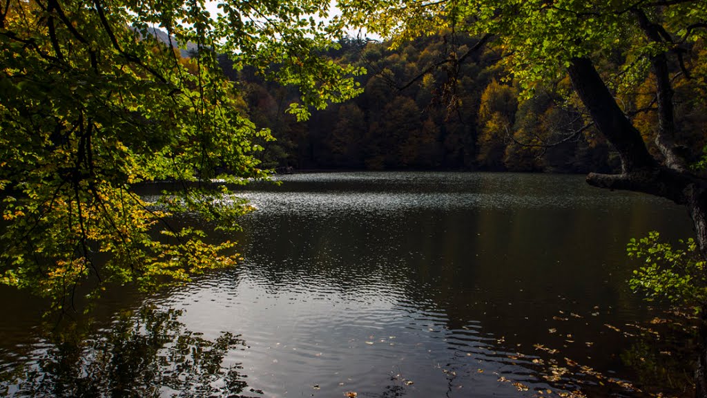 14030 Bağışlar/Bolu Merkez/Bolu, Turkey by ahmet  zeki yavaş