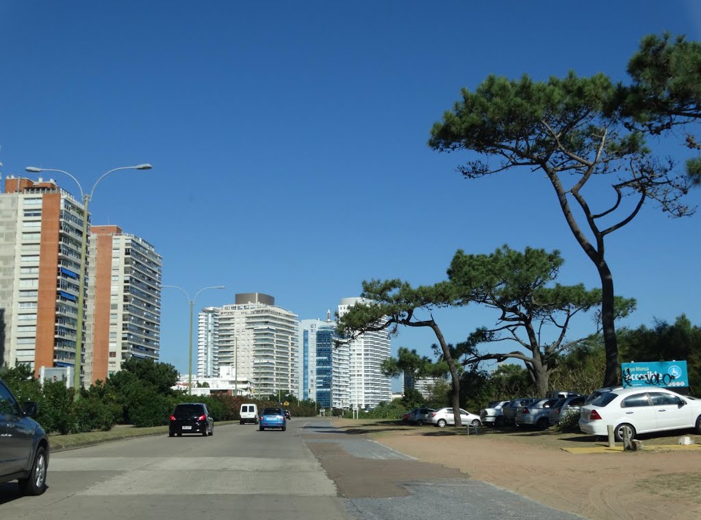 Hermoso día en Punta del Este by ivelbero