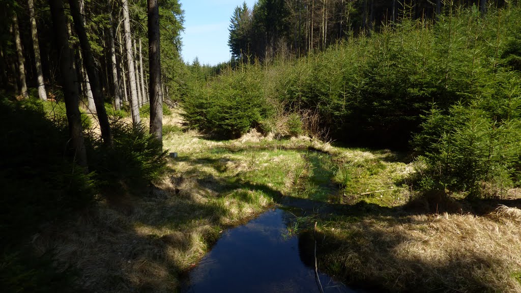 Údolí Klopotského potoka, Gelobtbachtal by Jiří Bernard