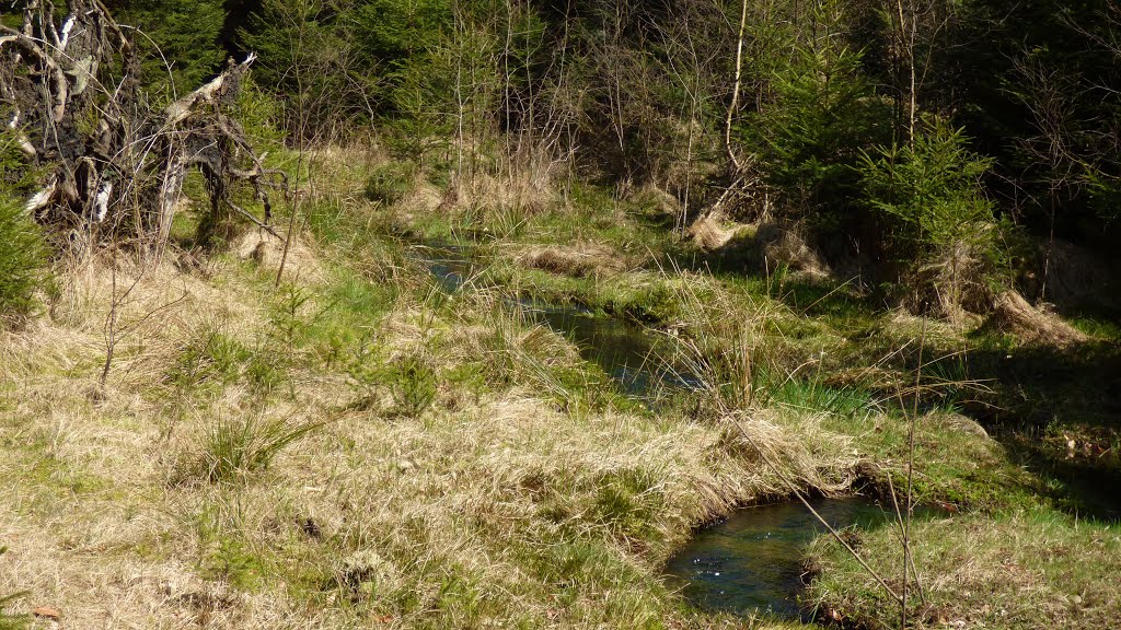 Údolí Klopotského potoka, Gelobtbachtal by Jiří Bernard