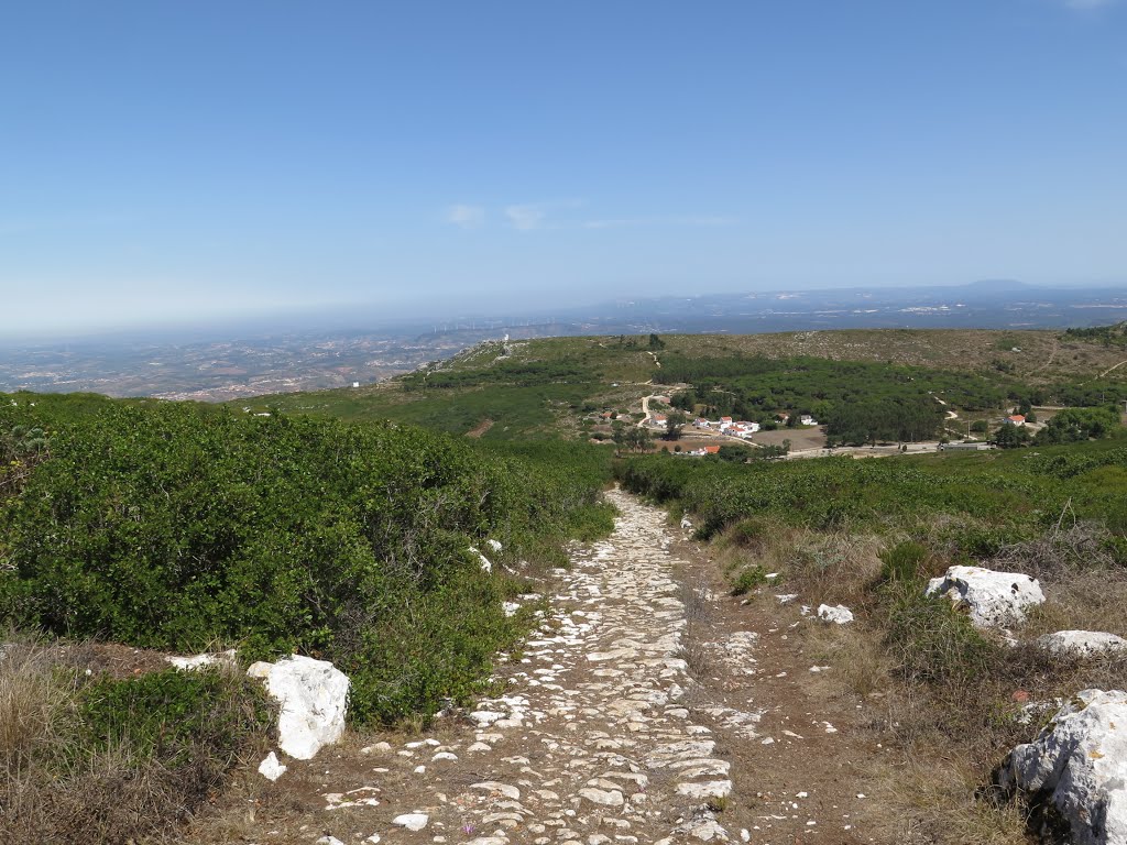 Lamas, 2550, Portugal by Camões