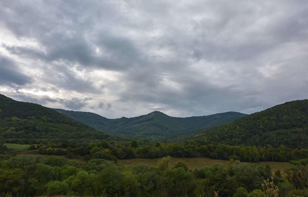 A Természet Szimmetriája (The Symmetry of Nature) by T.T. Tamás