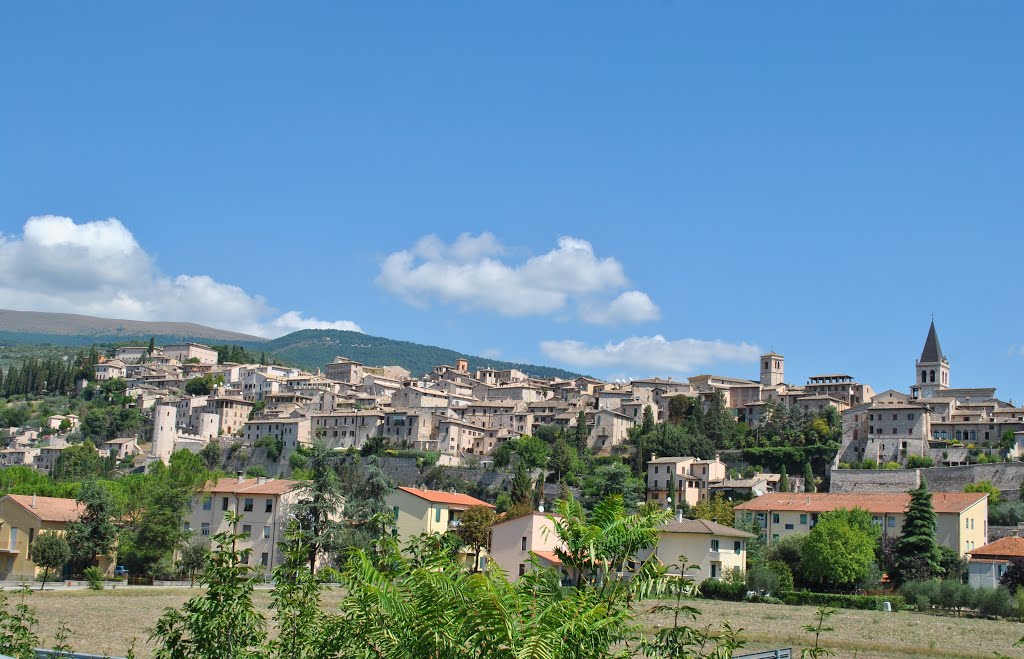 Spello - Umbria by francyworld