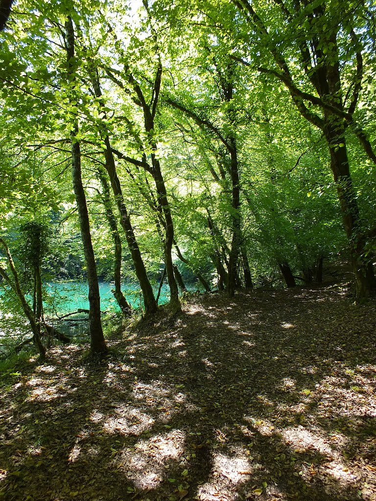 Le Gouffre Saint-Sauveur à Calès (Résurgence de l'Ouysse) by Yann LESELLIER